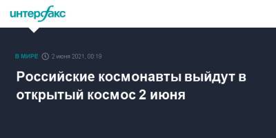 Олег Новицкий - Петр Дубров - Российские космонавты выйдут в открытый космос 2 июня - interfax.ru - Москва