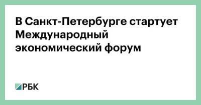 Владимир Путин - Марио Мерен - Андрей Белоусов - В Санкт-Петербурге стартует Международный экономический форум - smartmoney.one - Англия - Санкт-Петербург - Катар