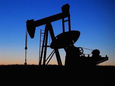 Дональд Трамп - Джо Байден - Bloomberg: Байден пересмотрит вопрос о добыче нефти на Аляске - rosbalt.ru - шт.Аляска