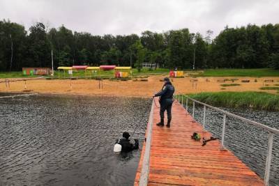 Водолазы достали потерянные вещи со дна пруда в Центральном парке Тулы - tula.mk.ru - Тула