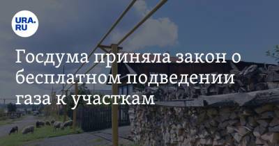 Вячеслав Володин - Госдума приняла закон о бесплатном подведении газа к участкам - ura.news
