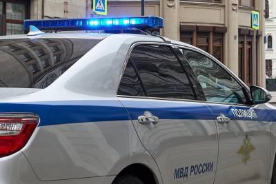 Подозреваемых в краже кабеля задержали в Подмосковье - vm.ru - Московская обл. - Московская область