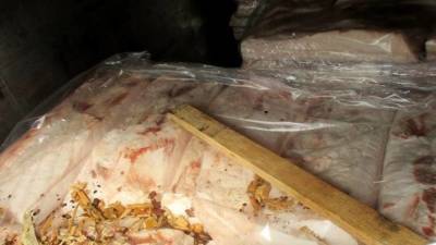 Украина ни при чём: Огромный груз сала попытались ввезти в Россию под видом щепок - reendex.ru - Смоленская обл. - Калужская обл. - Брянская обл.