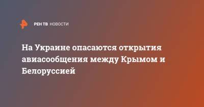 Владимир Путин - Александр Лукашенко - Павел Климкин - На Украине опасаются открытия авиасообщения между Крымом и Белоруссией - ren.tv - Москва - Украина - Киев - Крым - Минск