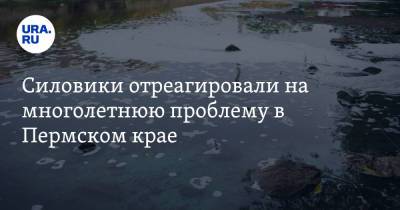 Силовики отреагировали на многолетнюю проблему в Пермском крае. Фото - ura.news - Куба - Пермский край - Александровск