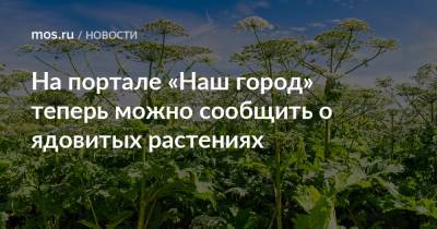 На портале «Наш город» теперь можно сообщить о ядовитых растениях - mos.ru - Москва