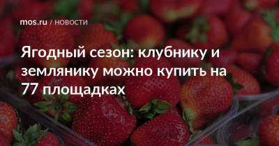 Алексей Немерюк - Ягодный сезон: клубнику и землянику можно купить на 77 площадках - mos.ru - Москва - Краснодарский край - Астраханская обл. - Ростовская обл. - Волгоградская обл. - респ. Кабардино-Балкария - Торговля