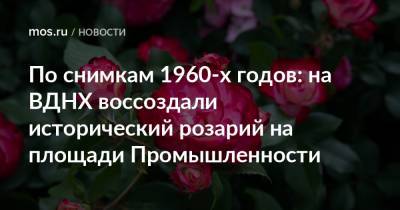 По снимкам 1960-х годов: на ВДНХ воссоздали исторический розарий на площади Промышленности - mos.ru - Москва