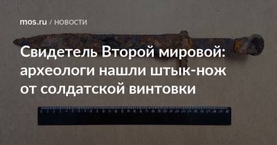 Свидетель Второй мировой: археологи нашли штык-нож от солдатской винтовки - mos.ru - Москва - Тула - Ижевск - Медногорск - Находки