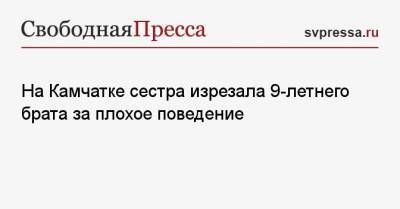 На Камчатке сестра изрезала 9-летнего брата за плохое поведение - svpressa.ru - Москва - Камчатский край - респ. Адыгея