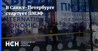 Владимир Путин - Себастьян Курец - В Санкт-Петербурге стартует ПМЭФ - nsn.fm - Австрия - Санкт-Петербург - Катар