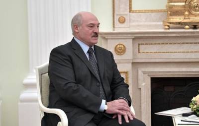 Александр Лукашенко - Лукашенко пригласил следователей из Донбасса посетить Протасевича: «Милости просим» - argumenti.ru - Минск - ЛНР