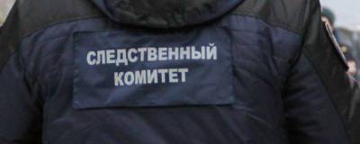 На Камчатке задержали 16-летнюю девочку, пытавшуюся убить младшего брата - runews24.ru - Камчатский край - Петропавловск-Камчатский