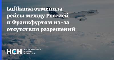 София Сапега - Lufthansa отменила рейсы между Россией и Франкфуртом из-за отсутствия разрешений - nsn.fm - Москва - Россия - Санкт-Петербург - Германия - Вильнюс - Минск