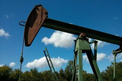 Николай Шульгинов - Глава Минэнерго дал прогноз по росту цен на нефть на ближайшие годы - aif.ru
