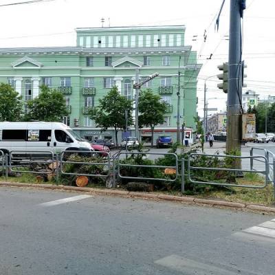 Нового прокурора просят проверить обоснованность спила столетней лиственницы в Челябинске - znak.com - Челябинск - Экология