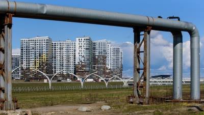 Очередная выплата концессионеру ЗСД может составить 600 млн рублей - dp.ru - Санкт-Петербург