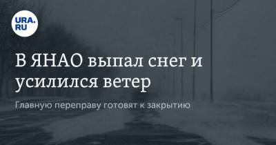 В ЯНАО выпал снег и усилился ветер. Главную переправу готовят к закрытию - ura.news - Салехард - окр. Янао