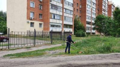 В Пензе на 1 млн кв. м газонов скосили траву - penzainform.ru - Пенза