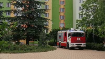Александр Остапенко - Детскую больницу в Крыму "заминировала" пьяная женщина – Минздрав - crimea.ria.ru - Крым - Симферополь