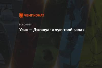 Александр Усик - Энтони Джошуа - Фьюри Тайсон - Джошуа Усик - Усик — Джошуа: я чую твой запах - championat.com - Англия