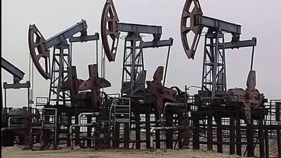 Добыча нефти в России снизилась в январе-мае на 6,3%, газа – выросла на 11% - vesti.ru