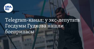 Геннадий Гудков - Дмитрий Гудков - Telegram-канал: у экс-депутата Госдумы Гудкова нашли боеприпасы. Ему грозит новое уголовное дело - ura.news