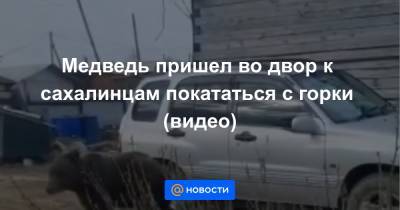Медведь пришел во двор к сахалинцам покататься с горки (видео) - news.mail.ru - Оха