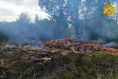 Три техногенных пожара зарегистрировали в Смоленской области за сутки - mk-smolensk.ru - Смоленская обл. - район Сафоновский