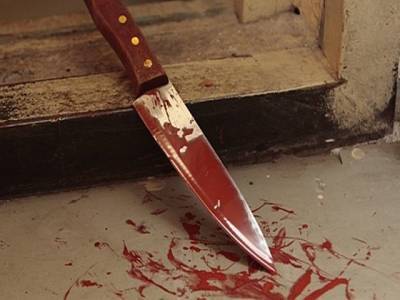 Наталья Мамаева - Южноуральцу грозит до 15 лет лишения свободы за убийство подруги - u24.ru - Челябинск