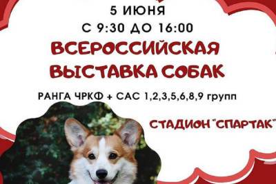 Конкурс собачьей красоты пройдёт в Серпухове - serp.mk.ru - Сербия - Серпухов