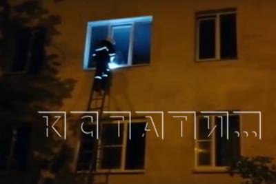 Концлагерь для собак устроила в квартире жительница Ленинского района - vgoroden.ru - район Ленинский