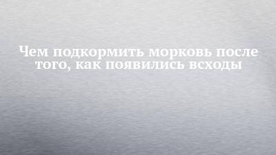 Чем подкормить морковь после того, как появились всходы - chelny-izvest.ru