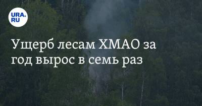 Ущерб лесам ХМАО за год вырос в семь раз - ura.news - Югра