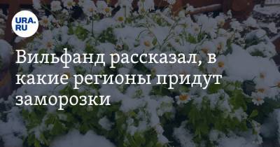 Роман Вильфанд - Вильфанд рассказал, в какие регионы придут заморозки. В списке Урал - ura.news - Тюменская обл. - Кировская обл. - Свердловская обл. - окр.Приволжский - Омская обл. - Томская обл.