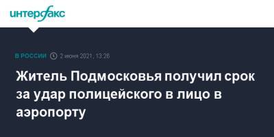 Житель Подмосковья получил срок за удар полицейского в лицо в аэропорту - interfax.ru - Москва - Екатеринбург - Московская обл. - Уральск - Московская область
