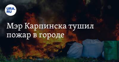 Мэр Карпинска тушил пожар в городе - ura.news - Карпинск