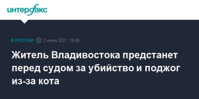 Житель Владивостока предстанет перед судом за убийство и поджог из-за кота - interfax.ru - Москва - Приморье край - Владивосток