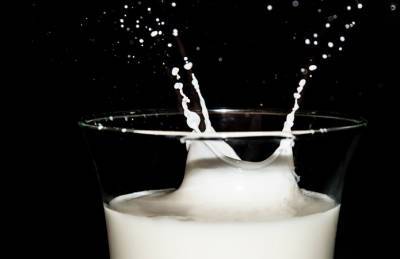 Цены на молоко не радуют ни производителей, ни переработчиков - agroportal.ua