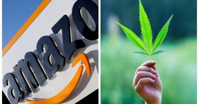 Amazon позволила своим сотрудникам употреблять марихуану - focus.ua - США