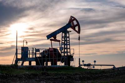 Добыча и продажа российской нефти рухнули - lenta.ru