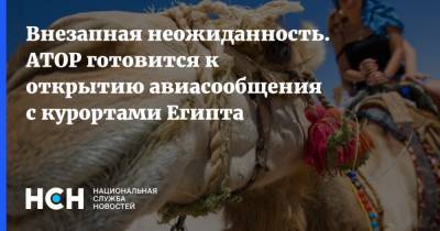 Майя Ломидзе - Внезапная неожиданность. АТОР готовится к открытию авиасообщения с курортами Египта - nsn.fm - Египет - Таиланд