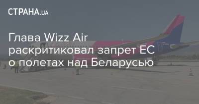 Роман Протасевич - Глава Wizz Air раскритиковал запрет ЕС о полетах над Беларусью - strana.ua - Минск
