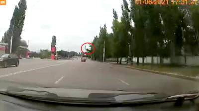 Воронежцы показали эффектное видео момента падения тополя на дорогу - vestivrn.ru - Воронеж