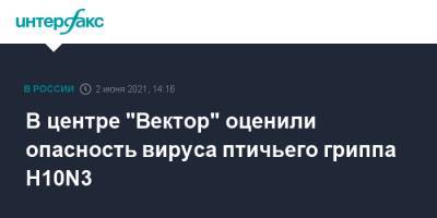 В центре "Вектор" оценили опасность вируса птичьего гриппа H10N3 - interfax.ru - Москва - Китай