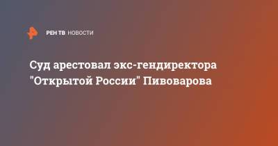 Андрей Пивоваров - Суд арестовал экс-гендиректора "Открытой России" Пивоварова - ren.tv - Санкт-Петербург - Краснодар