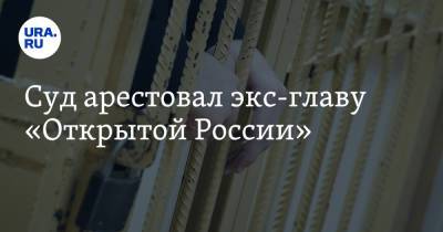 Михаил Ходорковский - Андрей Пивоваров - Суд арестовал экс-главу «Открытой России» - ura.news - Санкт-Петербург - Краснодар