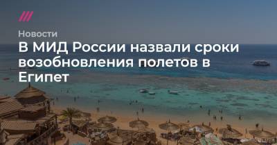 Владимир Путин - Дмитрий Песков - В МИД России назвали сроки возобновления полетов в Египет - tvrain.ru - Москва - Египет