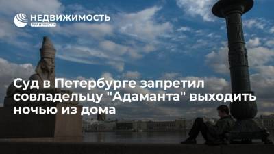 Александр Бастрыкин - Суд в Петербурге запретил совладельцу "Адаманта" выходить ночью из дома - realty.ria.ru - Санкт-Петербург