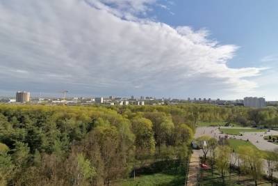 Метеопредупреждение: 3 июня в Туле поднимется сильный ветер - tula.mk.ru - Тула - Тульская обл.